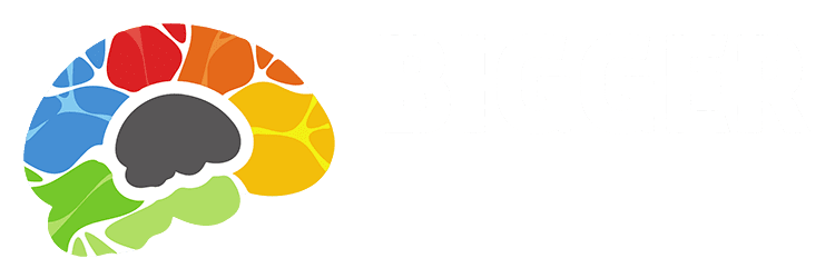 Bigger Brains